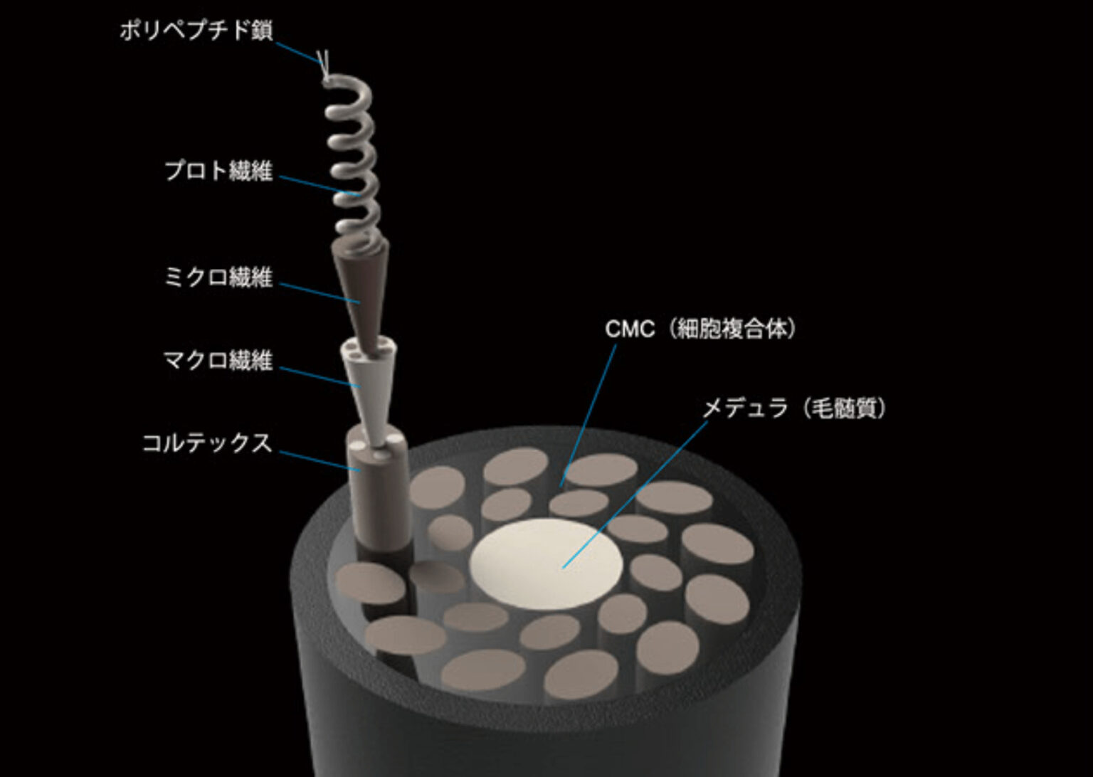 特許技術インカラミとは？ TOKIOトリートメントの効果を支える特徴・成分を徹底解説！｜美容室IDEAL高田馬場店（アイディール）