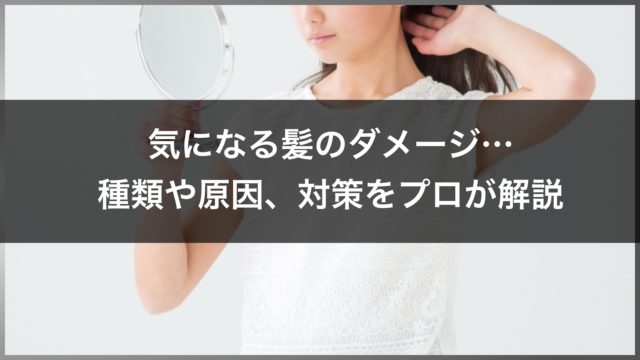 プロが解説 切れ毛が多いしうねりもひどい そんな髪の悩みの原因と改善方法 基礎から解説 高田馬場の美容室ideal アイディール