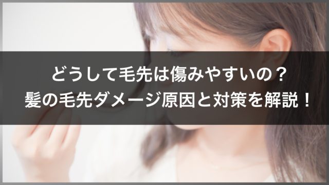 髪の毛先ダメージ 毛先がパサパサする原因と対策方法 美容室ideal高田馬場店 アイディール