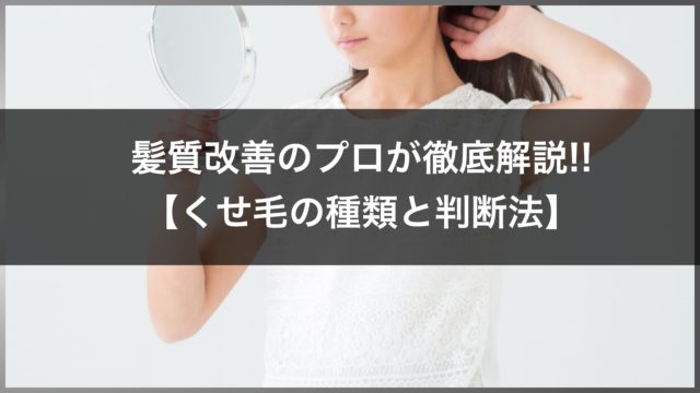 なぜくせ毛になるの 遺伝 くせ毛の原因と有効な対策 改善方法をプロが徹底解説 高田馬場の美容室ideal アイディール