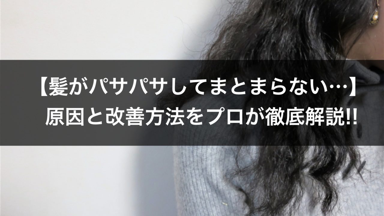 髪がパサパサな人必見 パサつきの原因と改善方法をプロが徹底解説 高田馬場の美容室ideal アイディール