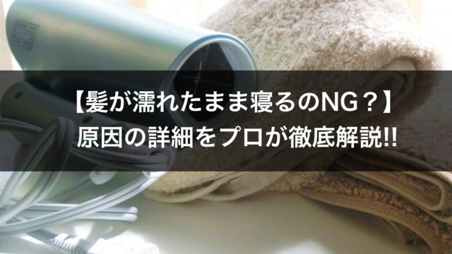 髪の毛のダメージ診断できてる 簡単なチェック方法ご紹介 高田馬場の美容室ideal アイディール