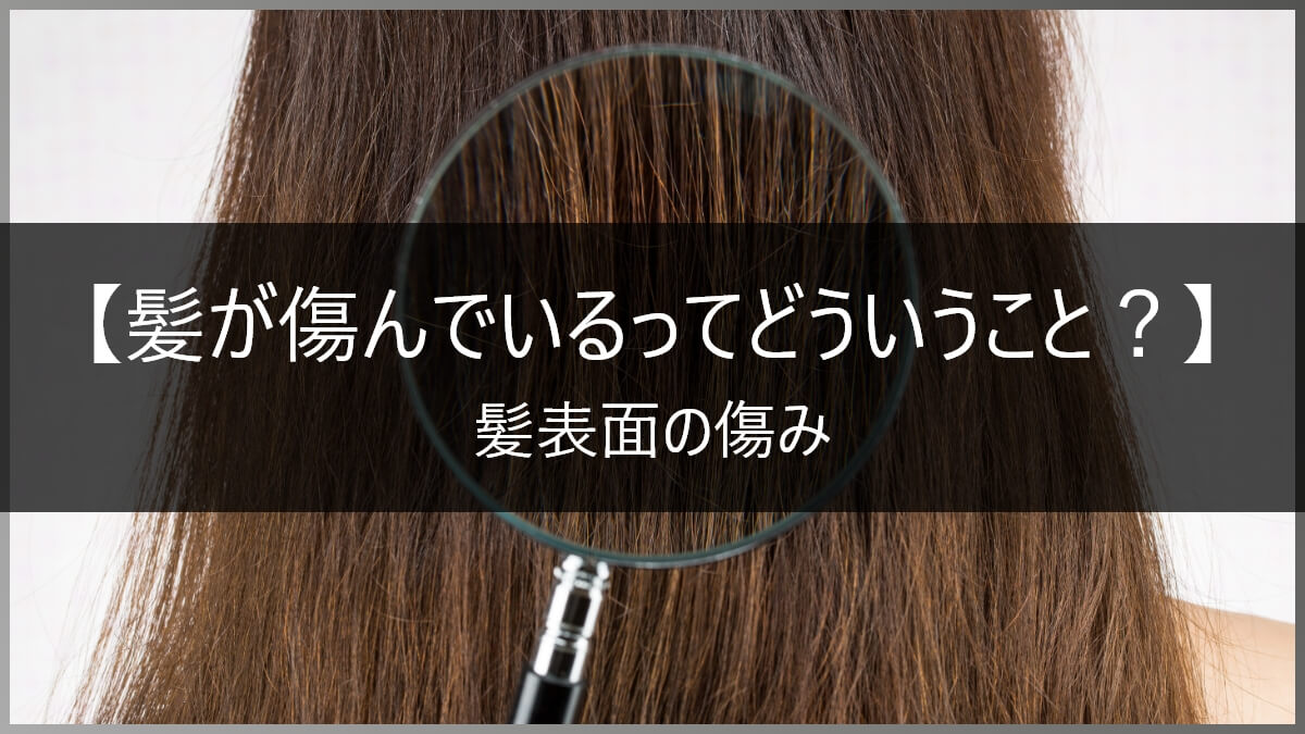 傷んだ髪を綺麗にする方法 自宅でのヘアケア サロントリートメント 傷んだ髪のベストな補修方法は 美容室ideal高田馬場店 アイディール