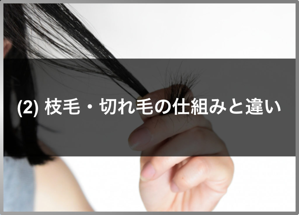 原因は何ですか?