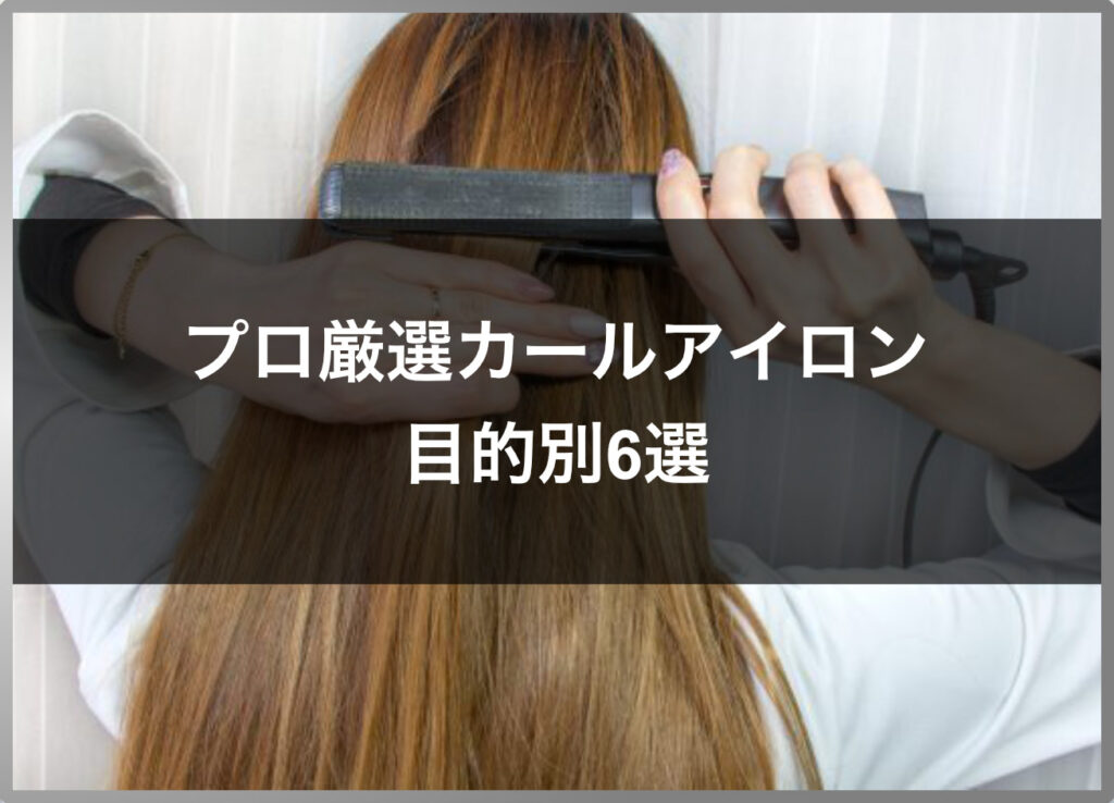 半額SALE☆ ミニ ヘアアイロン ストレートカール2Way 髪セット 小型黒ブラック新品未使用